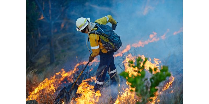 Bridge Fire 71% Contained