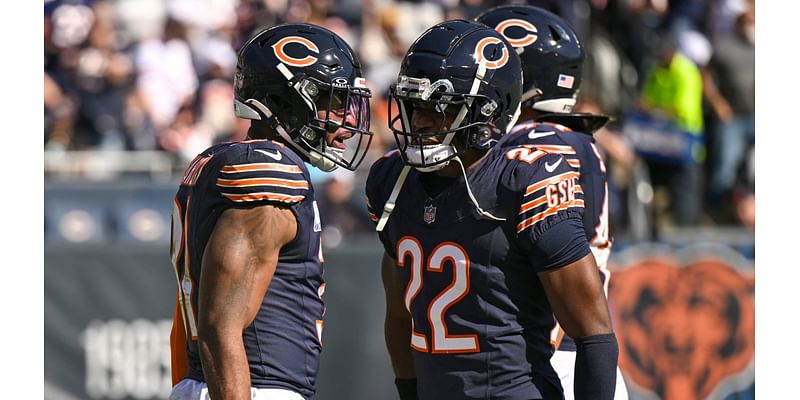 Bears' Matt Pryor, Panthers' Jaycee Horn ejected after fight