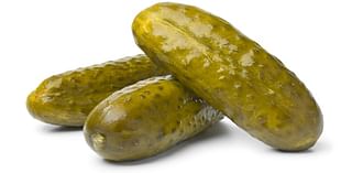 Pickle Palooza brings pickle-themed fun to Charleston on September 21