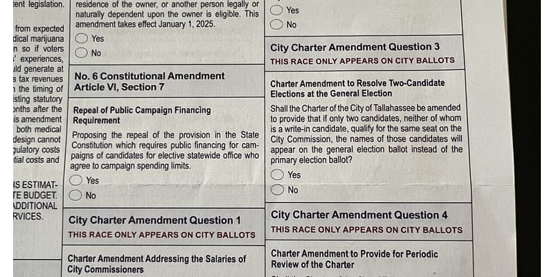 Tallahassee residents get final say on city charter amendments