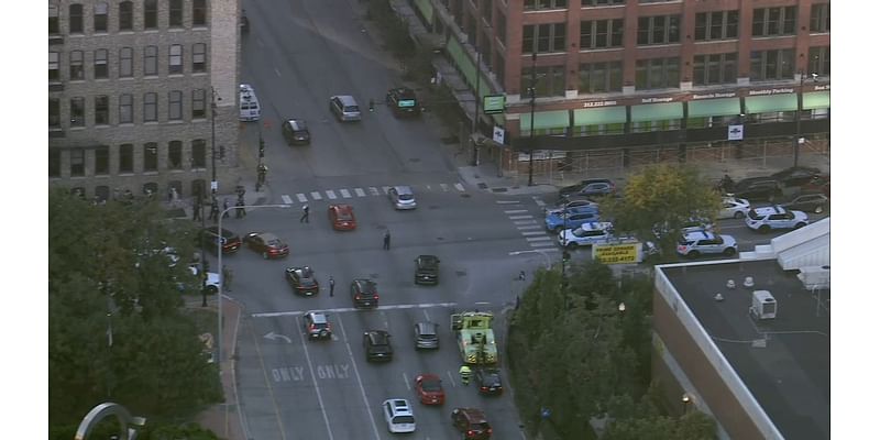 Pro-Palestinian protestors cause traffic disruption into Downtown Chicago