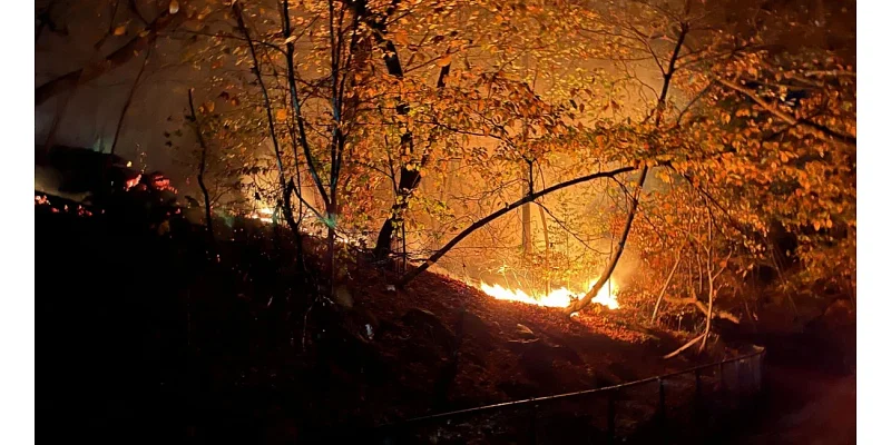 FDNY tackling brush fire in Prospect Park with NYC under drought conditions