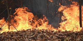 Wildfire on NJ-NY border explods to 5,000 acres, prompts postponement one of the nation's oldest Veterans Day parades