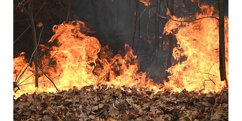 Wildfire on NJ-NY border explods to 5,000 acres, prompts postponement one of the nation's oldest Veterans Day parades