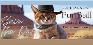 Fur Ball Brings Funds to the Joplin Humane Society