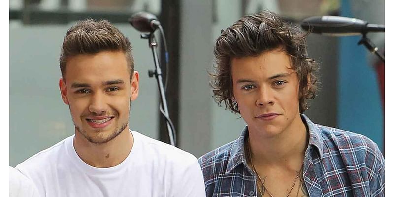 Harry Styles and Liam Payne’s Friendship Through the Years: Timeline