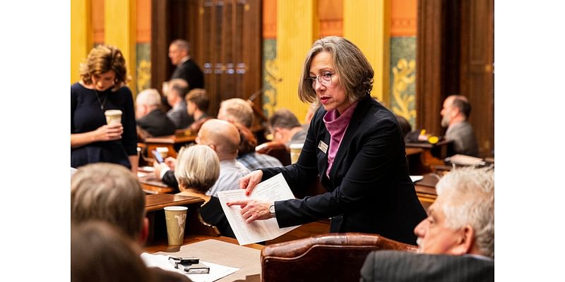 State Rep. Gina Johnsen re-elected to 78th District House seat