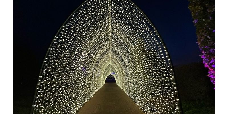 Chicago holiday events this weekend: Lightscape, ZooLights, Ice Skating – NBC Chicago