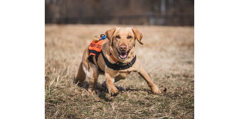 Holliday: Learning about the life of a K9 Search Unit Volunteer