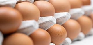 Egg recall linked to salmonella upgraded to highest possible risk by FDA