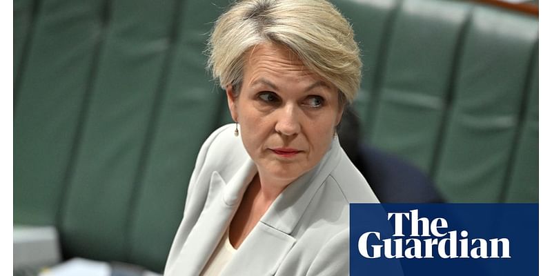 Tanya Plibersek was rebuked by NSW minister for decision to block $900m gold mine, documents reveal