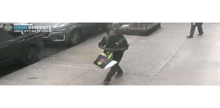 Elderly East Sider Assaulted On Park Ave: Police