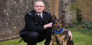 Hero hounds who show why police dogs are crucial despite animal rights activists' concerns, from saving a cop from a knife attack to stopping a building from being blown up