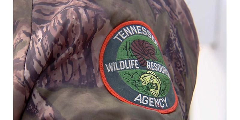 TWRA accepting late-season, youth and military waterfowl quota hunt applications