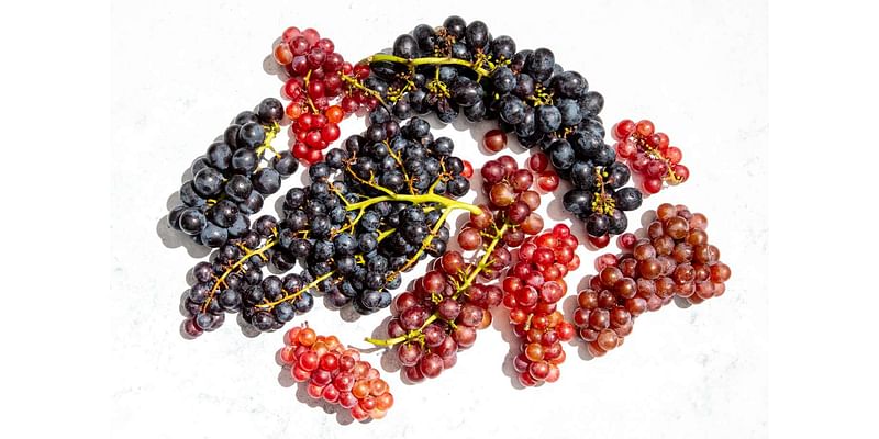 17 Types of Grapes You Need to Know, From Grocery Store Go-Tos to Farmers Market Favorites