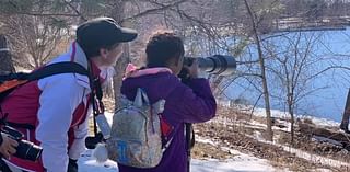 Minneapolis, St. Paul birders drop 'Audubon' from chapter names