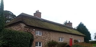 Re-thatching ancient Wexford cottage set to cost €40,000