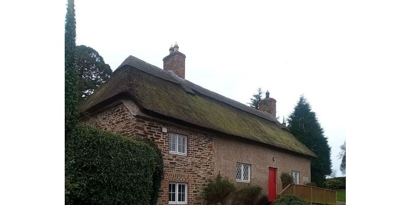 Re-thatching ancient Wexford cottage set to cost €40,000