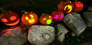 At this guerrilla art pumpkin patch, you can carve your own free jack-o’-lanterns