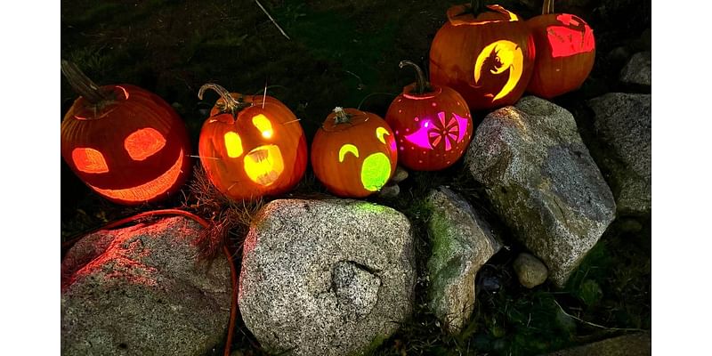 At this guerrilla art pumpkin patch, you can carve your own free jack-o’-lanterns