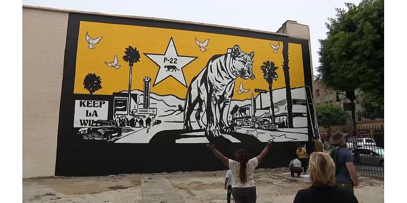 Muralist honors legendary mountain lion P-22 with artwork in Hollywood