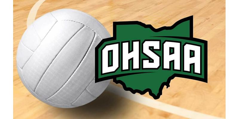 Local volleyball standouts earn All-Ohio honors