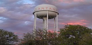 Lantana Update - November 2024 - Cross Timbers Gazette