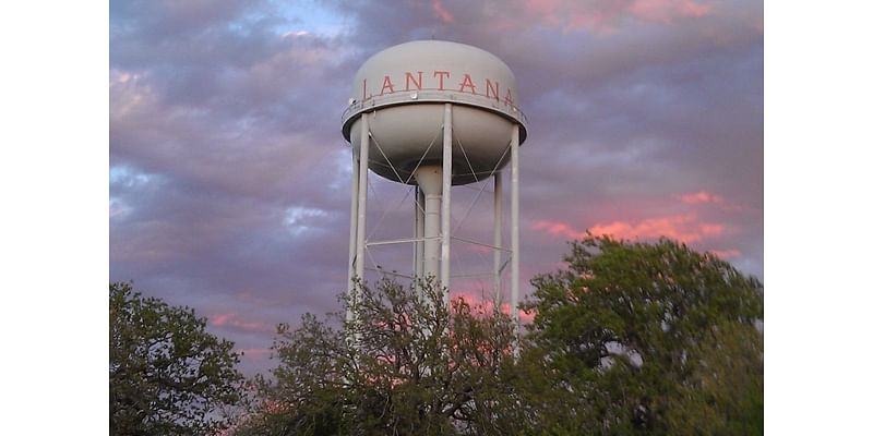 Lantana Update - November 2024 - Cross Timbers Gazette