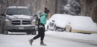 2024-25 winter outlook: Weak La Niña could bring warmer & wetter conditions to metro Detroit