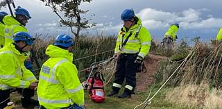 Dog uninjured after plunging 20m off Devon cliff