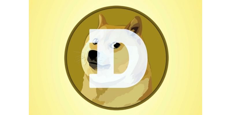 Bull doge! Dogecoin soars as Trump announces a government efficiency group nicknamed DOGE