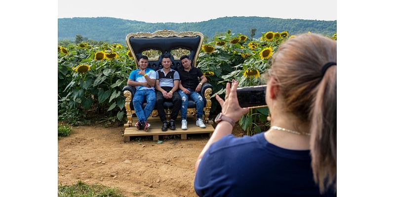 Don’t forget to add Von Thun Farms fall festival to your travel list this season