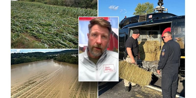 Hurricane Helene: 'Backbone of America' helping farmers across Southeast who lost billions in crops, land