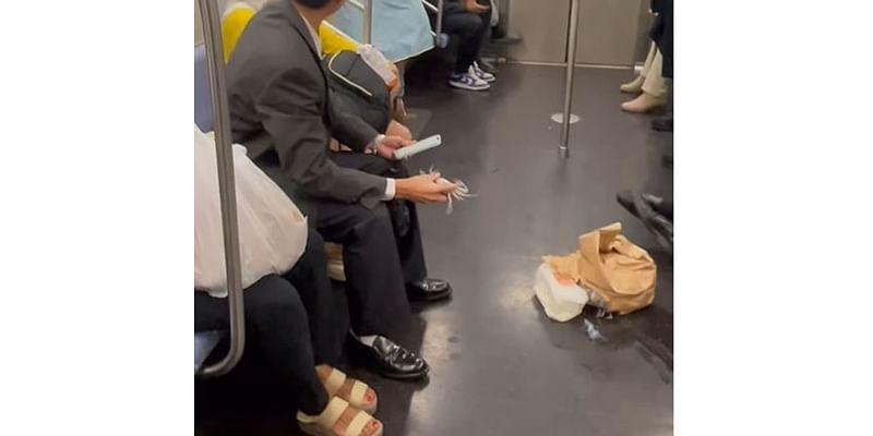 Chaos on New York subway train as live crabs escape woman’s bag