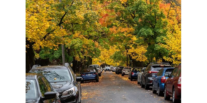 Craving a stretch of quiet weather? Monday kicks off a mostly dry week in Portland