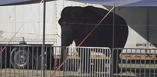 Mysterious Circus responds to animal abuse allegations regarding elephant Okha