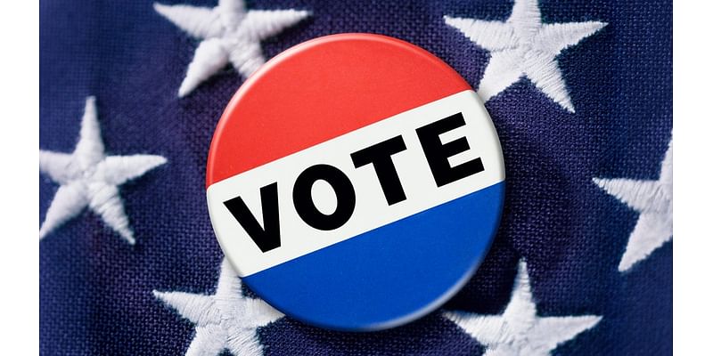 Election 2024: Find Your Ballot Online to Prepare for Early Voting