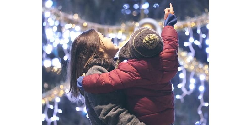 Tinley Park Set To Sparkle In Tree Lighting, Holiday Happenings 2024