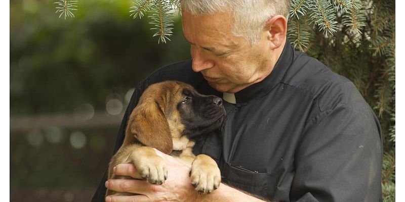 Father Beretta loses best friends: 'It was my first night in 35 years without a dog'