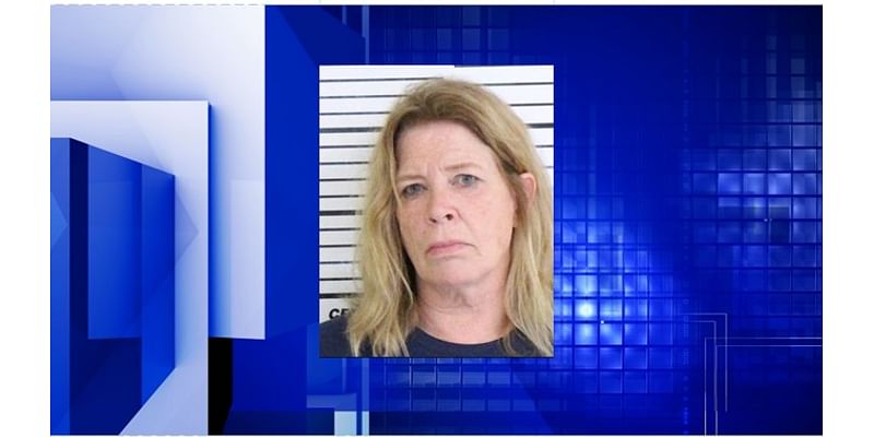 Davenport woman faces charges for fraudulent checks at Hy-Vee stores