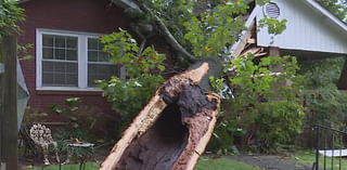 Tree falls on Winston-Salem home with man inside