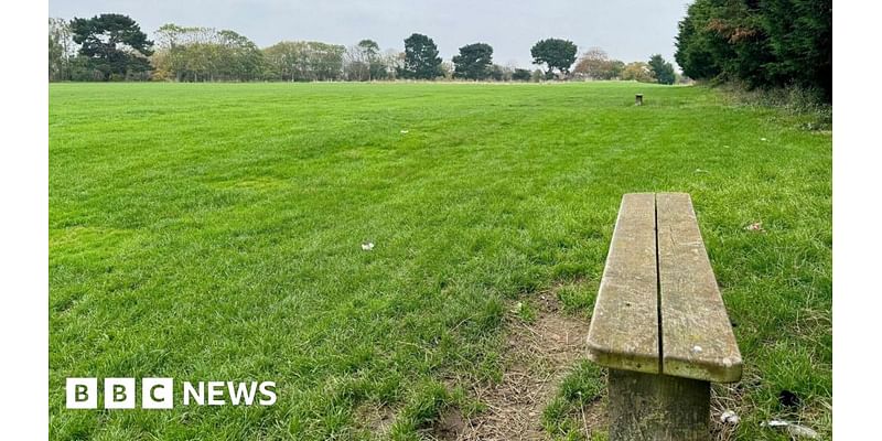 weather pitch denied permission