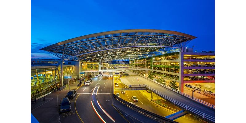 Oregon: Portland airport is trying to ease nervous flyers with llama therapy