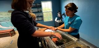 Central Coast Aquarium offers hands-on learning for homeschool students