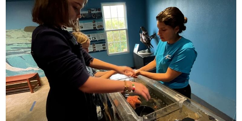 Central Coast Aquarium offers hands-on learning for homeschool students