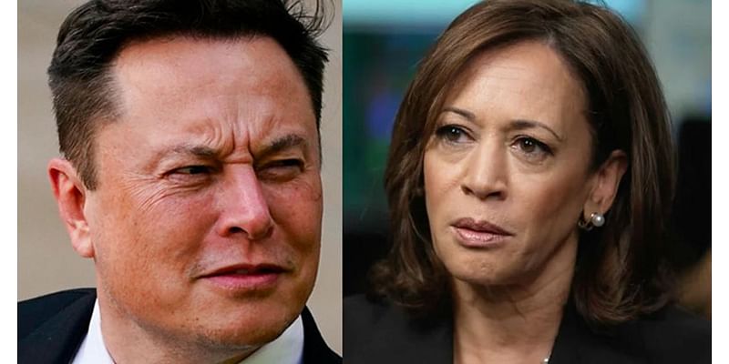 Elon Musk Warns America Would Be like 'Mad Max' After Four More Years of Kamala Harris