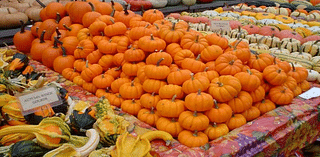 Keeping the Circleville Pumpkin Show safe