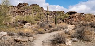 10-year-old boy dies in Arizona after four-hour hike in triple-digit temperatures