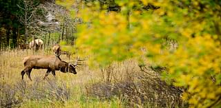 Firestone Board of Trustees retreat in Estes Park garners praise from some, criticism from others