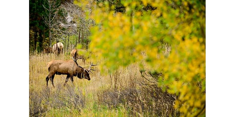 Firestone Board of Trustees retreat in Estes Park garners praise from some, criticism from others